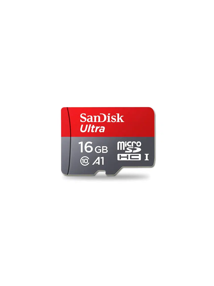 16GB Sandisk hukommelseskort