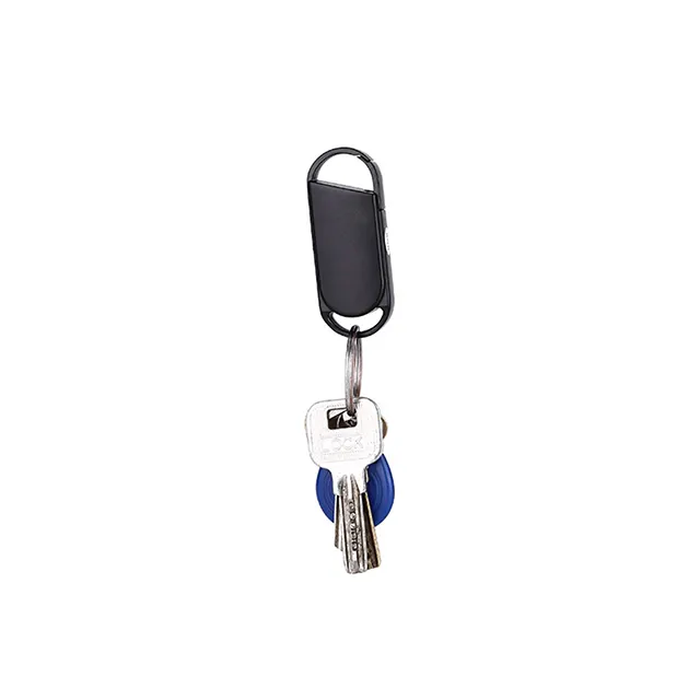 https://dowdon.en.made-in-china.com/product/kjuxREzMsIVr/China-8GB-Metal-Casing-Keychain-Digital-Voice-Recorder-Small-Audio-Sound-Record-Device-for-Lectures-Meetings-Interview-Speech.html
