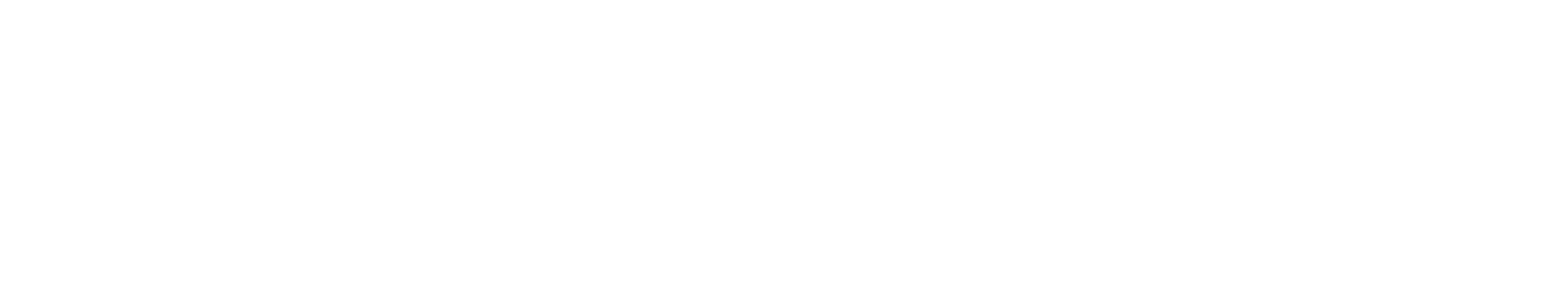 Dansk Vagt - det bedste alternativ !