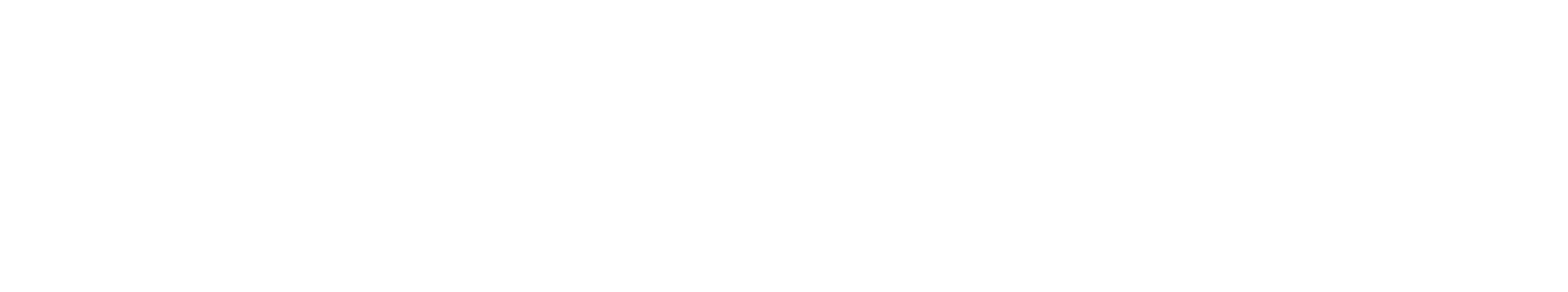 Dansk Vagt - det bedste alternativ !