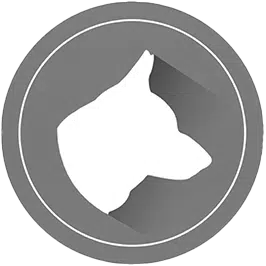 Dansk Vagt - det bedste alternativ !